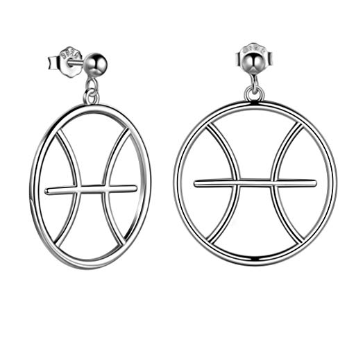 Sterling Silber Big Round Zodiac Ohrringe Frauen Boho Schmuck Horoskop Geburtstag Ohrringe Geschenk für die besten Freunde Fische Ohrringe Stud PE0071Y von Jewmon