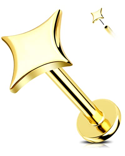 Jewseen 14K Solid Gold Threadless Studs Earrings Star Cartilage Earrings 16G Helix Earrings Labret Stud Nose Stud Tragus Push in Helix Piercing Jewellery for Women Men Jewseen 14K Solid Gold Threadless Studs Earrings Star Cartilage Earrings 16G Helix Earrings Labret Stud Nose Stud Tragus Push in Helix Piercing Jewellery for Women Men von Jewseen