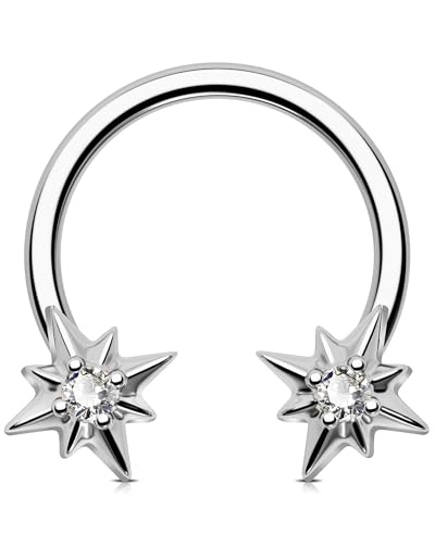 Jewseen Stern Septum Ringe Edelstahl Hufeisen Ohrringe CZ Helix Ohrring 16G Knorpel Ohrringe Nase Piercing Schmuck für Frauen Männer Stahl von Jewseen