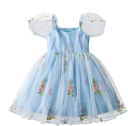 JiAmy Blumenkleid Mädchen Prinzessin Stickerei Tüll Kleid Kinder Sommer Frühling A Line Kleinkind Kleid für 2-3 Jahre,Blau von JiAmy