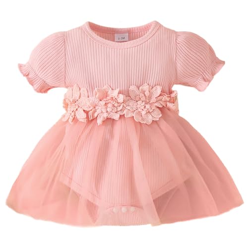 JiAmy Kleinkind Baby Mädchen Kleid Blume Stickerei Tüllkleid Neugeborene Kurzarm Strampler Frühling Sommer Kleidung Prinzessin Kleider für Mädchen 12-18 Monate Rosa von JiAmy