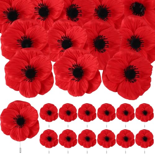 JiaUfmi Gedenktag rote schwarze Mohnblumen, Brosche, Anstecknadeln, Großpackung "Lest We Forget", gefälschter Blütenkopf, Geschenke für Frauen, Männer, Helden, Veteranen, Gedenktag, 32 Stück JiaUfmi Gedenktag rote schwarze Mohnblumen, Brosche, Anstecknadeln, Großpackung "Lest We Forget", gefälschter Blütenkopf, Geschenke für Frauen, Männer, Helden, Veteranen, Gedenktag, 32 Stück von JiaUfmi