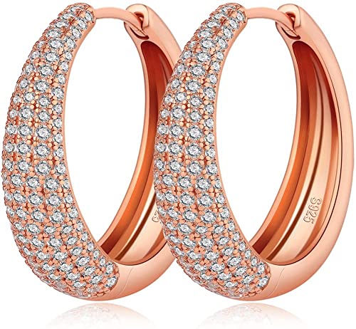 18 Karat Weißgold Plattierte Creolen Silber Damen Ohrringe S925 Sterling Silber Creolen mit AAAAA Zirkonia Mehrfache Größe, Silber,Gold,Rosegold Farben (E: Rose Gold 25mm) von Jiahanzb