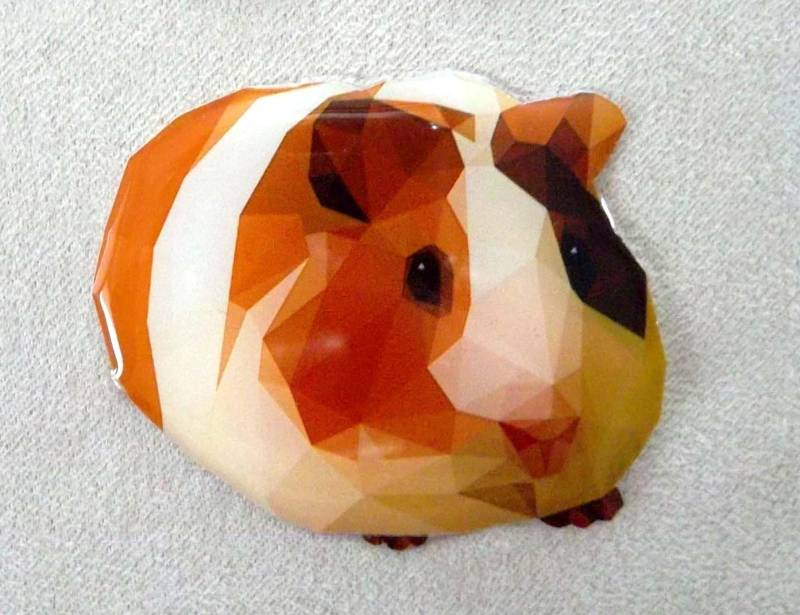 Meerschweinchen Kristall Harz Brosche | Anstecknadel Meerschweinchen Kristall Harz Brosche | Anstecknadel von JihaDesignCZ