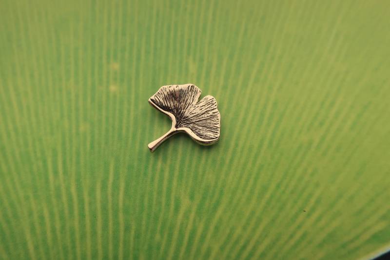 Ginkgo Blatt Gold Getaucht Zinn Revers Pin - Cc646G- Gingko, Frauenhaar Baum, China, Langlebigkeit, Alzheimer Und Gedächtnisverlust Pins von JimClift