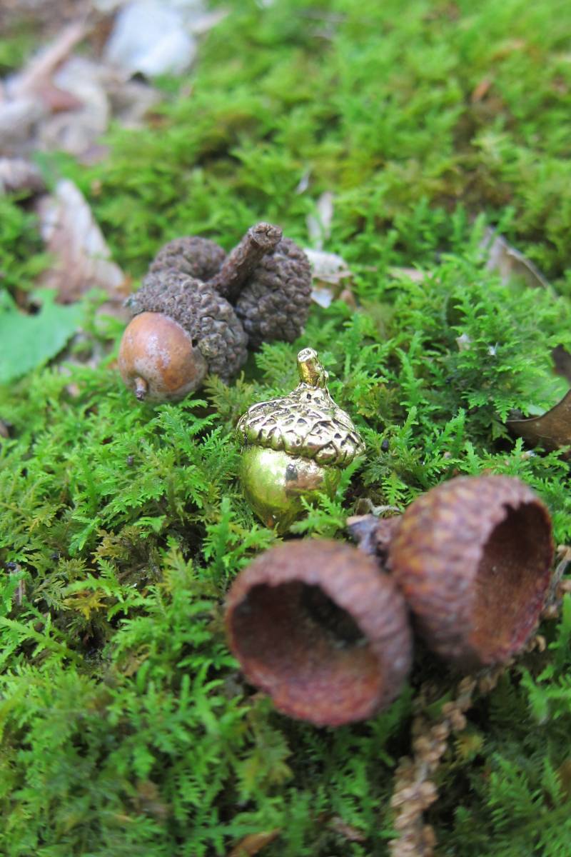 Gold Eichel-Reversnadel-Cc292G - Natur, Wald, Wandern, Eichel Und Eichennadeln von JimClift