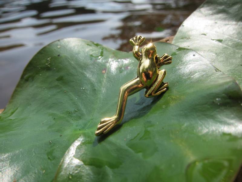 Gold Frosch Anstecknadel-Cc169G - Geschenke, Amphibohnen, Regenwald, Kröte, Kaulquappe Und Metamorphose Pins von JimClift