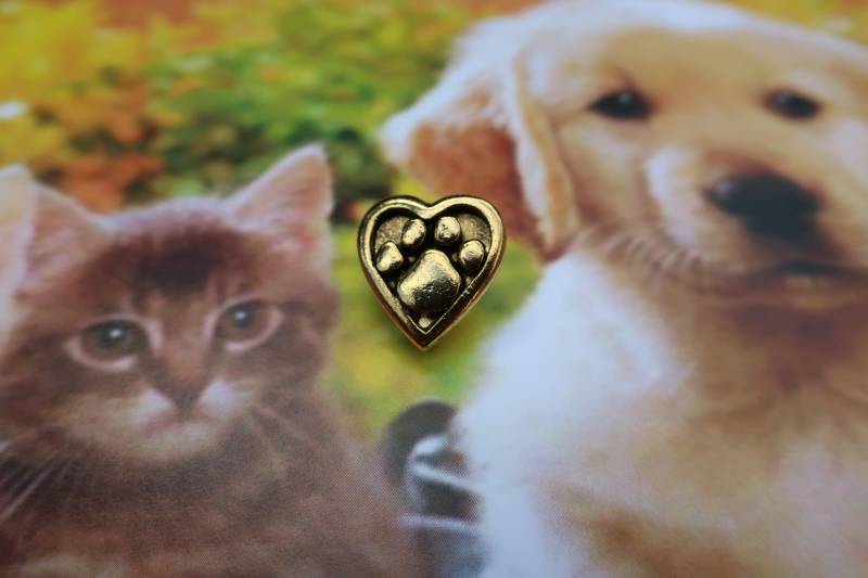 Gold Herz Pfote Anstecknadel - Cc411G- Haustier, Pfote, Veterinär, Haustier Verlust Und Erinnerungsstifte von JimClift