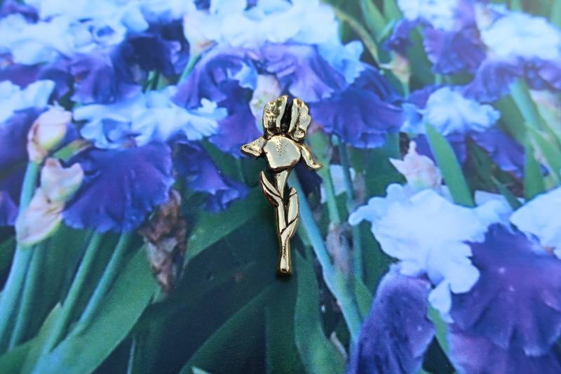 Gold Iris Lapel Pin - Cc621 - Iris, Blumen, Stauden, Gärten, Floristen Und Gartenstifte von JimClift