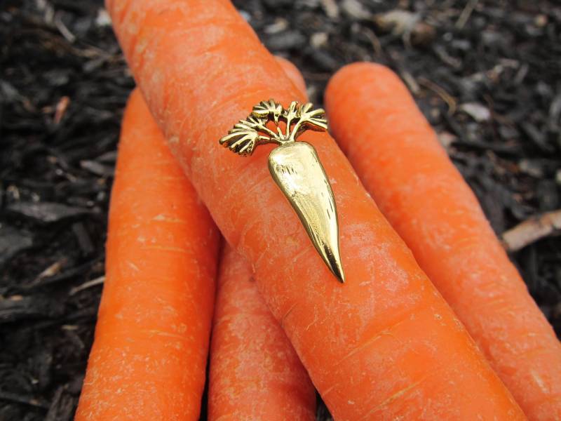 Gold Karotten Anstecknadel-Cc312G - Gemüse Und Veggie Pins Im Garten Für Gärtner Bauern von JimClift