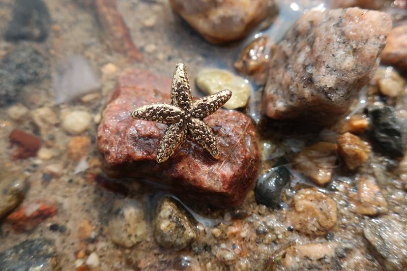 Gold Seestern Anstecknadel - Cc415G Seestern, Meer, Strand, Seeseite Und Maritime Pins von JimClift
