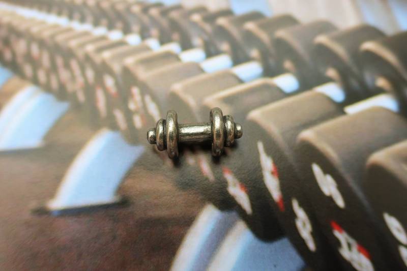 Hantelnadeln - Cc431 - Freie Gewichte - Übungs-Personal Trainer - Workout Pins von JimClift