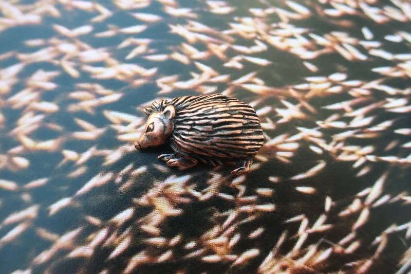 Igel Kupfer Dipped Zinn Anstecknadel - Cc560C Gartenbewohner, Kritter Und Wildtier Pins von JimClift