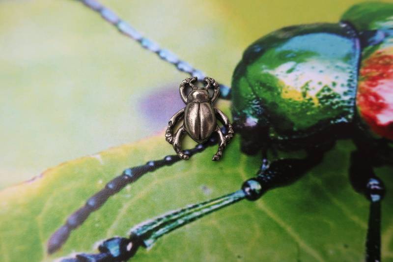 Käfer-Anstecknadel - Cc280- Insekt Und Käfernadeln von JimClift