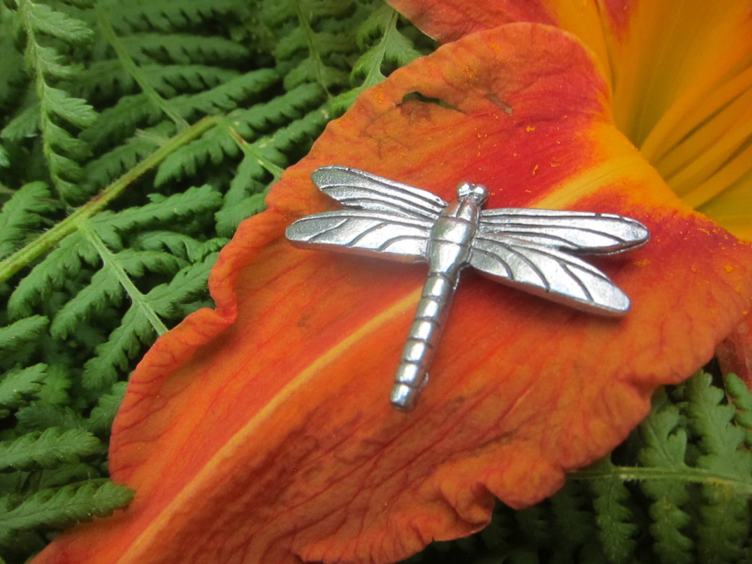 Libelle Anstecknadel - Cc278 Libellen Im Garten, Insekt, Käfer Und Gartengeschenke von JimClift