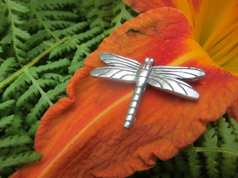 Libelle Anstecknadel - Cc278 Libellen Im Garten, Insekt, Käfer Und Gartengeschenke von JimClift