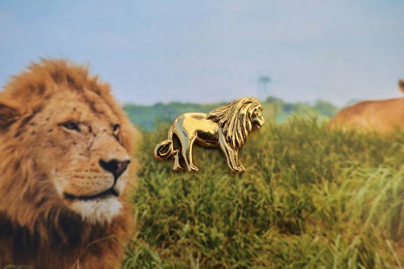 Löwen Lapel Pin - Cc247G-Safari Und Zoo Tier Pins von JimClift