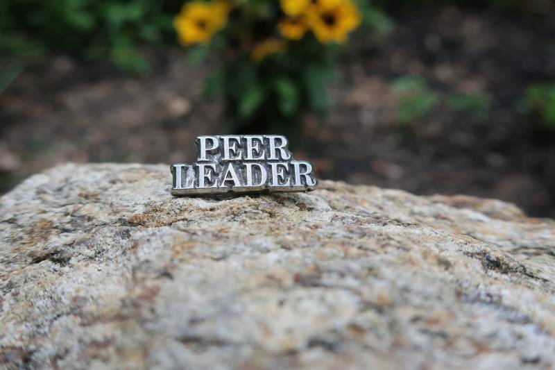 Peer Leader Lapel Pin - Cc592 - Peer, Mitarbeiter, Ehrenamtler Und Studenten Anerkennung, Außergewöhnliche Attribute Pins von JimClift