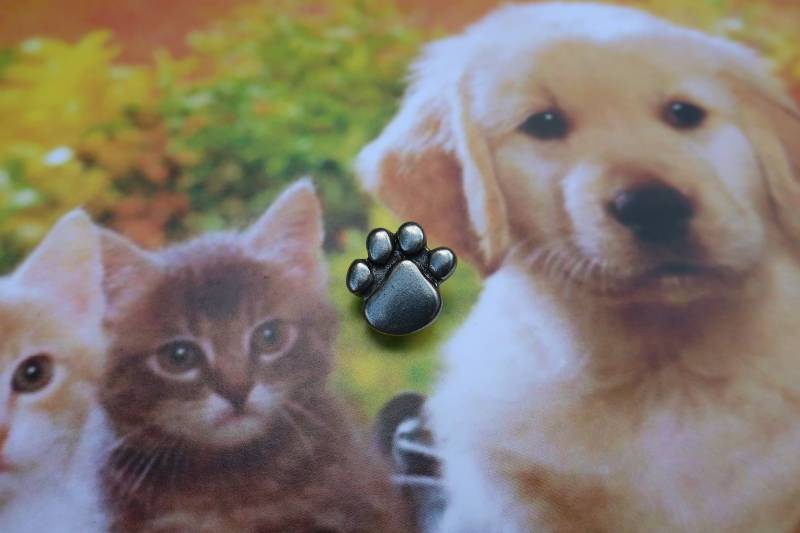 Pfote Print Reversnadel - Cc269- Pins Für Haustierliebhaber- Hundepfote Pin- Katzenpfote Pin von JimClift