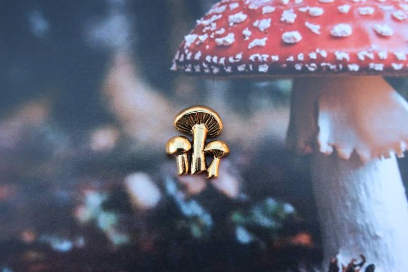 Pilze Gold Getauchte Zinn-Reversnadel - Cc533G- Pilze, Futternadeln Und Waldstifte von JimClift