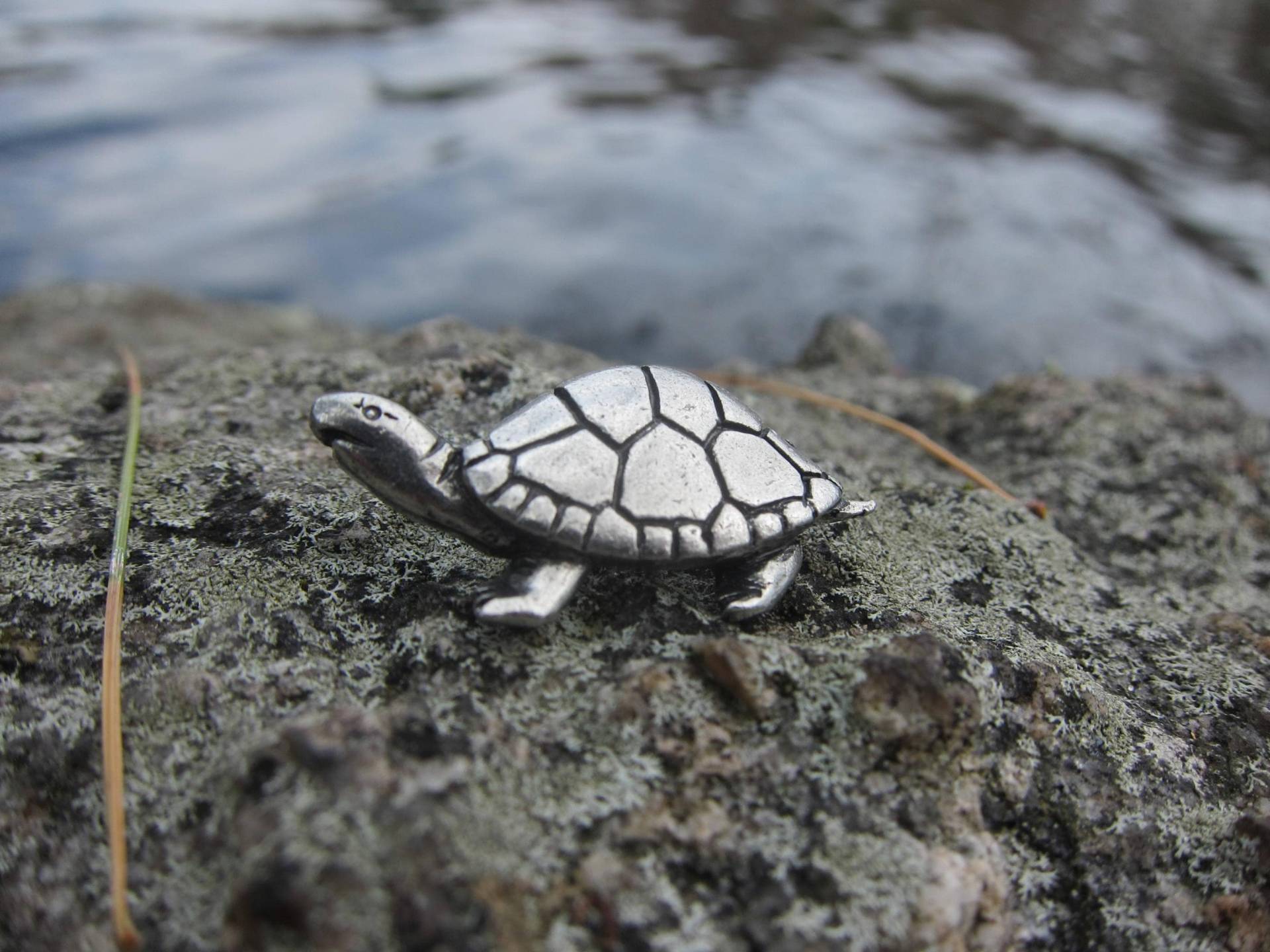 Schildkröte Anstecknadel - Cc618- Süßwasser Und Meeresbehausung Turtledove von JimClift