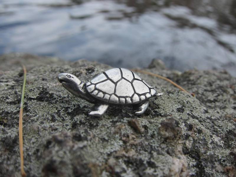 Schildkröte Anstecknadel - Cc618- Süßwasser Und Meeresbehausung Turtledove von JimClift
