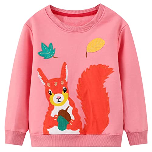 JinBei Mädchen Pullover Sweatshirt für Kinder Baumwolle Top Casual Jumper Kleinkind Eichhörnchen Rosa Blatt Langarmshirt Sweater, Herbst Winter Frühling Schule Täglich 5-6 Jahre alt von JinBei