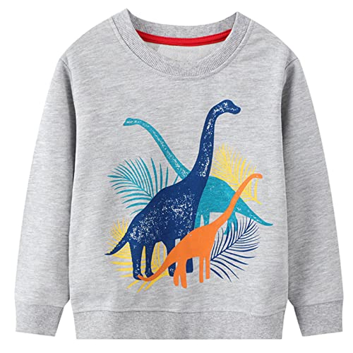 JinBei Pullover Jungen Sweatshirt Sport Kinder Baumwolle Dinosaurier Grau Jumper Langarm Sweater Pull Casual Kleinkind Langarmshirts Streetwear Schule Tops Alter 3-4 Jahre von JinBei