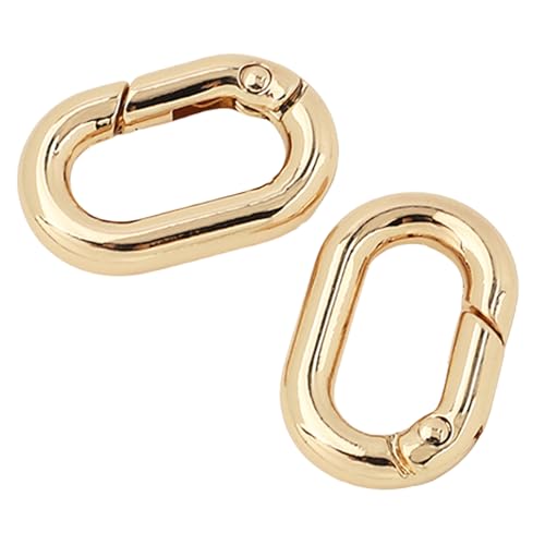2 Stück Metallfeder Schlüsselanhänger Frühlings Schlüsselanhänger Schnallen Schlüsselanhänger Clips Multifunktionale Ovale Ringe Schnallen Für Taschen Und Geldbörsen von Jiqoe