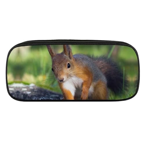 JiuPopular PU-Federmäppchen, niedliches Eichhörnchen-Schreibwaren-Tasche als Federmäppchen für Büro und Schule, Geschäftsreisetasche oder kleine Werkzeugbox, Make-up-Tasche von JiuPopular