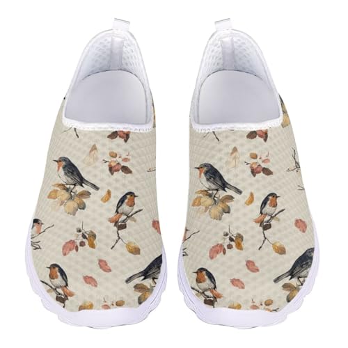 Jndtueit Damen-Wanderschuh, bequem, Freizeit, Loafer, flache Schuhe, Outdoor, Netz-Sneaker, Cartoon Kolibri Beige, 43 EU von Jndtueit
