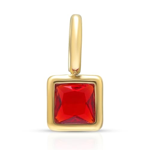 Joacii 14K vergoldet Januar Geburtsstein Zirkonia Anhänger Einfache rote Charms Strass Tropfen für Geburtstagsgeschenk von Joacii
