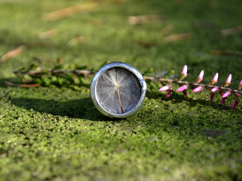 Echte Pusteblume Ring Terrarium Verstellbar Boho Inspiriert Von Der Natur Romantisch Einzigartiger Perfekt Geschenk Echte Pusteblume Ring Terrarium Verstellbar Boho Inspiriert Von Der Natur Romantisch Einzigartiger Perfekt Geschenk von JoannaJagoda
