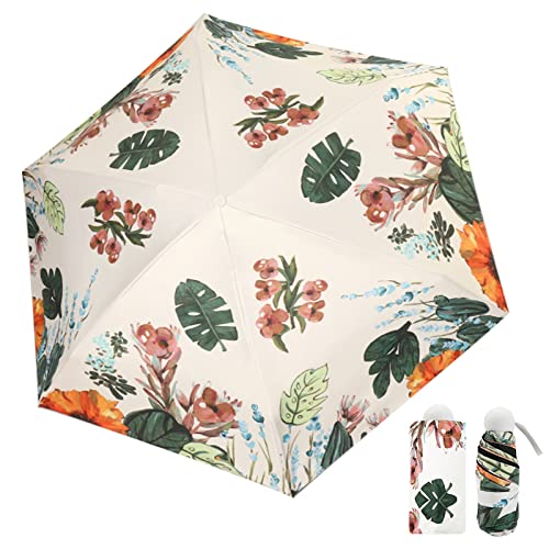 Jodsen Faltbarer Mini Regenschirm, 6 Rippen Kompakter Regenschirm Winddicht Stark, Taschenschirm mit Aquarellmustern, UV Schutz Regenschirm Klein, Schnell Trocknend Regenschirm für Frauen Männer (D) von Jodsen