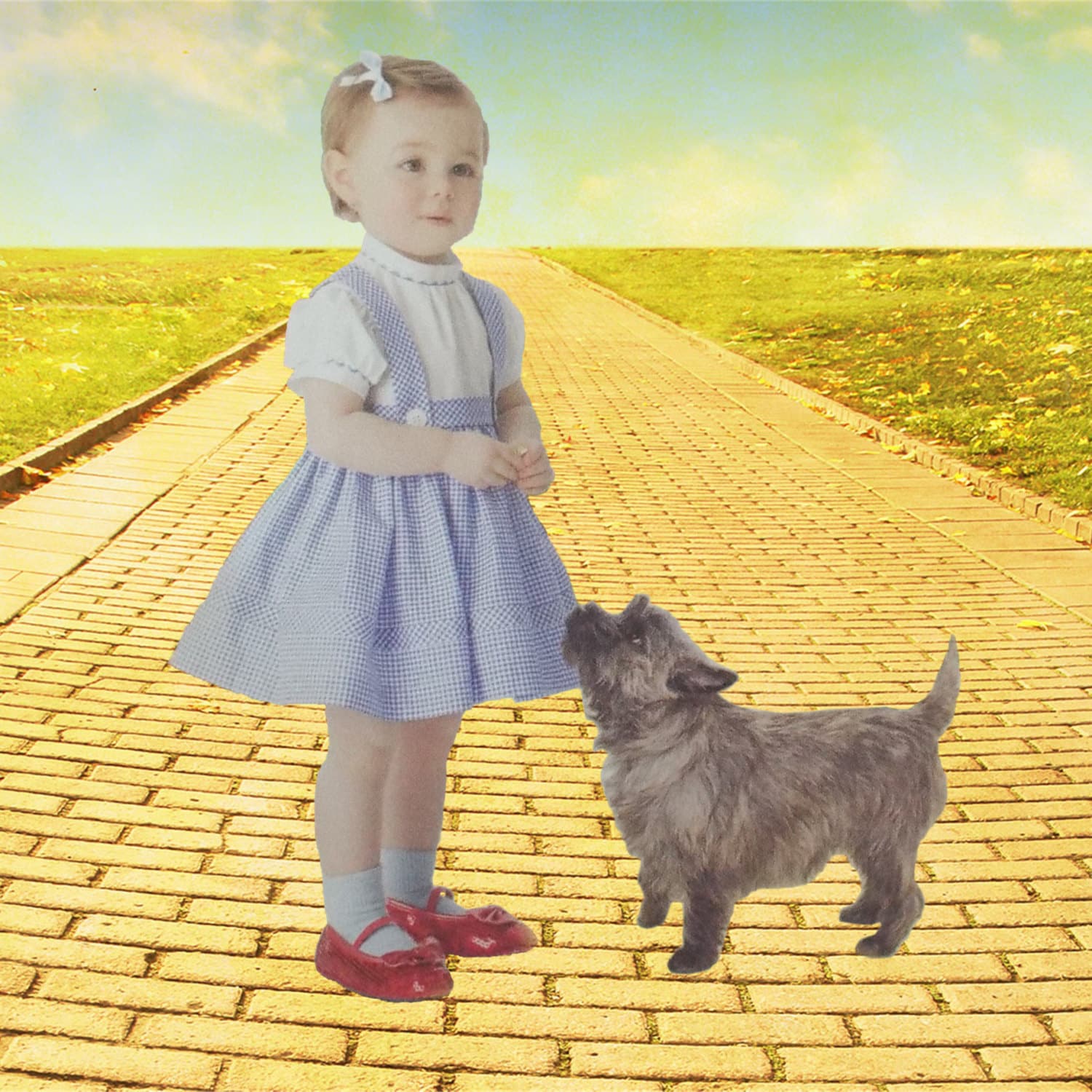 Dorothy Kleid Zauberer Von Oz Kostüm Größen Baby Bis Kleinkind von Jolibe