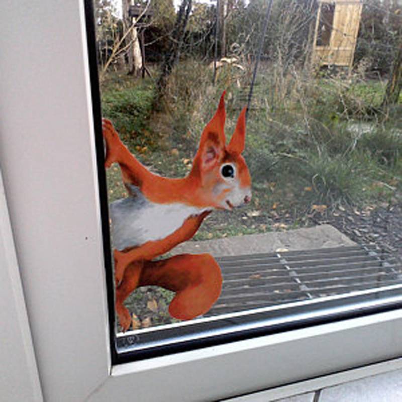 1/3/5PCS Peeping Eichhörnchen Wandaufkleber, Aufkleber für Wände und Fenster 5PCS von Joom DACH