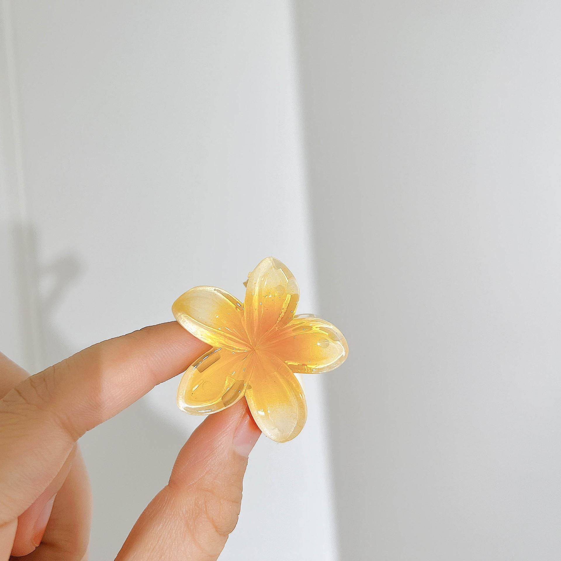 1/6 Stücke Hawaiian Gradienten Haarspange Blume Haarkrallen Frauen Kleine Größe Mode Kopfbedeckung Haarnadel Krabben Haarspange Haarschmuck 2025 von Joom DACH