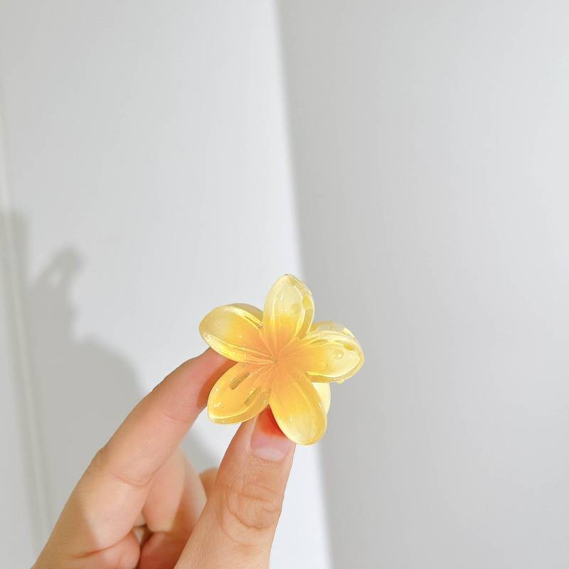 1/6 Stücke Hawaiian Gradienten Haarspange Blume Haarkrallen Frauen Kleine Größe Mode Kopfbedeckung Haarnadel Krabben Haarspange Haarschmuck 2025 von Joom DACH