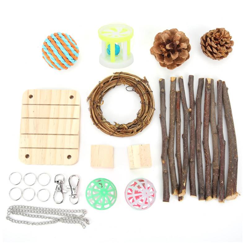 11 Stück Hamsterspielzeug Set Natürliches Holz Zahnpflege Backenzähne Spielzeug für Hamster Meerschweinchen Kaninchen und von Joom DACH