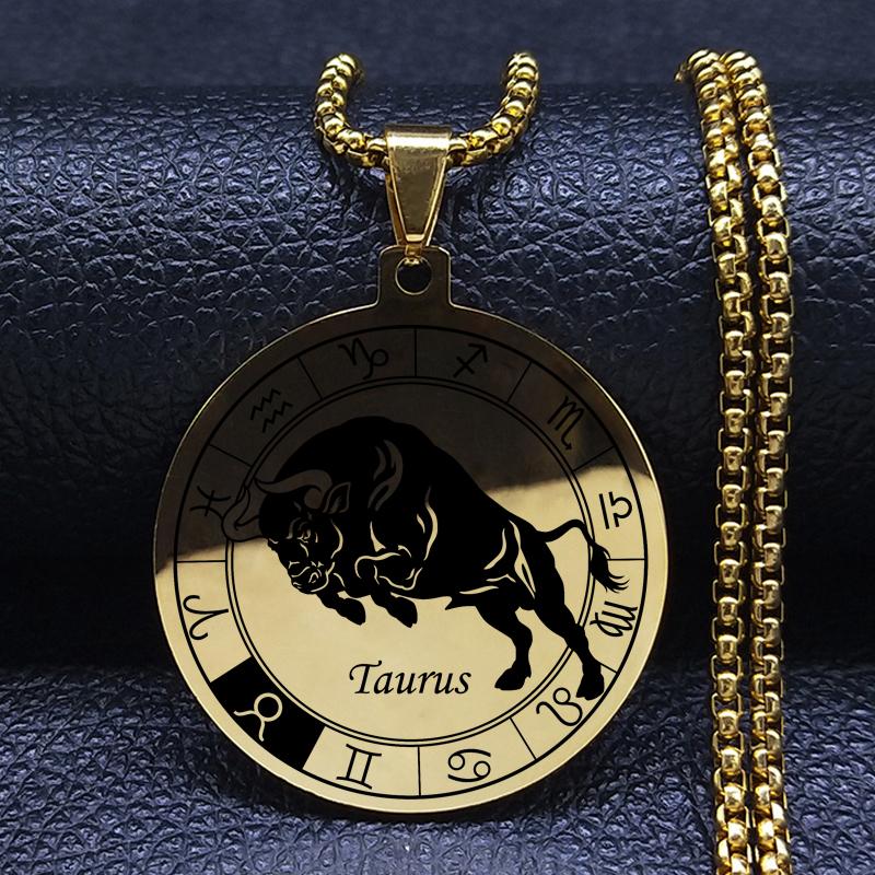 12 Konstellation Edelstahl Kette Halskette Frauen/Männer Silber Halskette Schmuck von Joom DACH