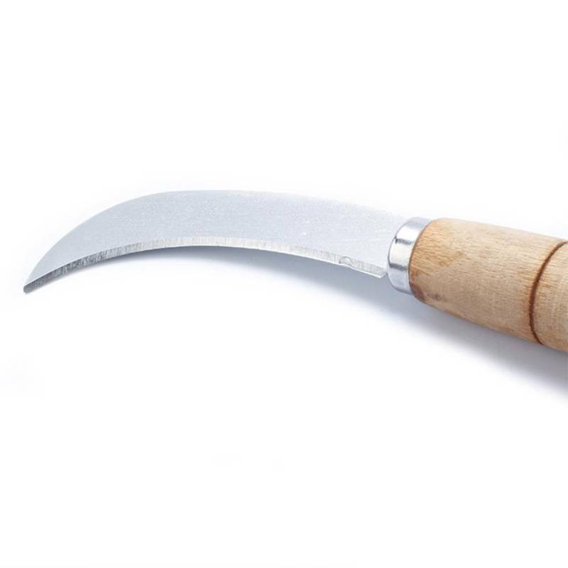 1Pc Obst Messer Edelstahl Multifunktionale Obst Gemüse Sichel Cutter Peeler Ultra Scharfe Klingen Für Küche Restaurant 1 Pcs 1Pc Obst Messer Edelstahl Multifunktionale Obst Gemüse Sichel Cutter Peeler Ultra Scharfe Klingen Für Küche Restaurant 1 Pcs von Joom DACH