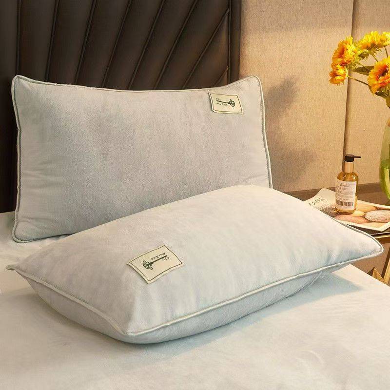 2 stücke Winter Flanell Kissenbezug 48*74cm Solide Samt Kissen Abdeckung Komfortable Weiche Wärme Blau Grün Home Domitory Bettwäsche 48X74cm 2PCS Pillowcases von Joom DACH