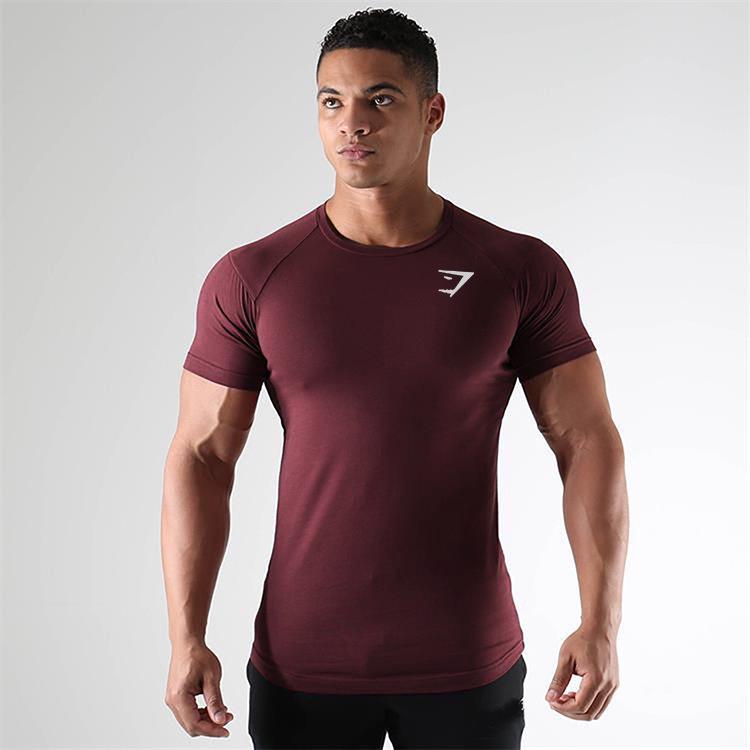 2023 Herren Schnelltrocknendes Trendy Sport T-Shirt - Atmungsaktiv, Kurzarm, Sommerpassform L von Joom DACH