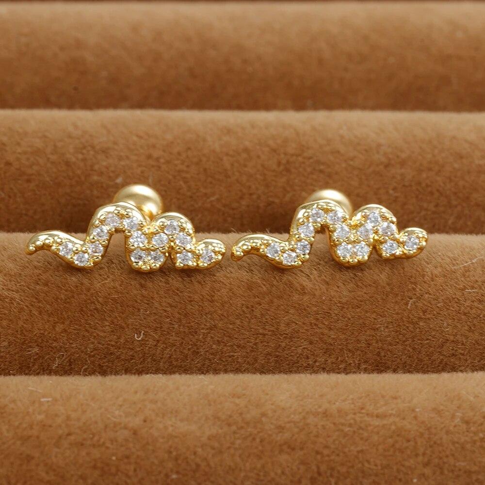 2PCS Edelstahl Kreuz Krone Ohrstecker Ohrringe für Frauen Zirkon Ohr Helix Tragus Knorpel Piercing Zubehör Schmuck Geschenk von Joom DACH