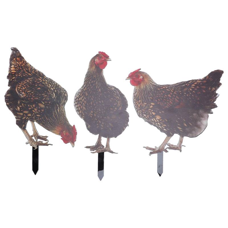3 Stück Hahn Gartenstecker Acryl Bunt Lebensecht Wetterfest Huhn Hofstecker Statue von Joom DACH