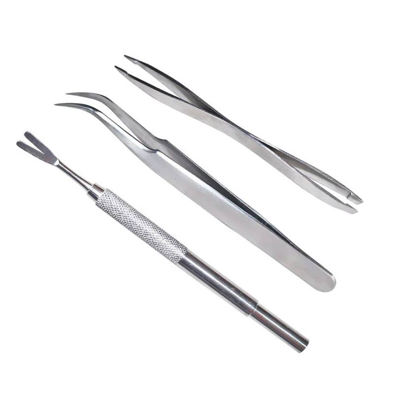 3 Stück Haustier Flohbehandlung Zeckenentfernungswerkzeuge Set Edelstahl Gabel Pinzette Klemme Set für Hund Katze silber 3 Stück Haustier Flohbehandlung Zeckenentfernungswerkzeuge Set Edelstahl Gabel Pinzette Klemme Set für Hund Katze silber von Joom DACH