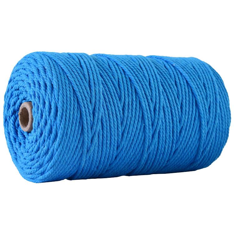 30 Farben 3 mm * 220 m Makramee-Schnur aus 100 % natürlicher Baumwolle, Makramee-Seil für Wandbehang, Pflanzenaufhänger, DIY-Handwerk, Stricken L-3mm*200m von Joom DACH