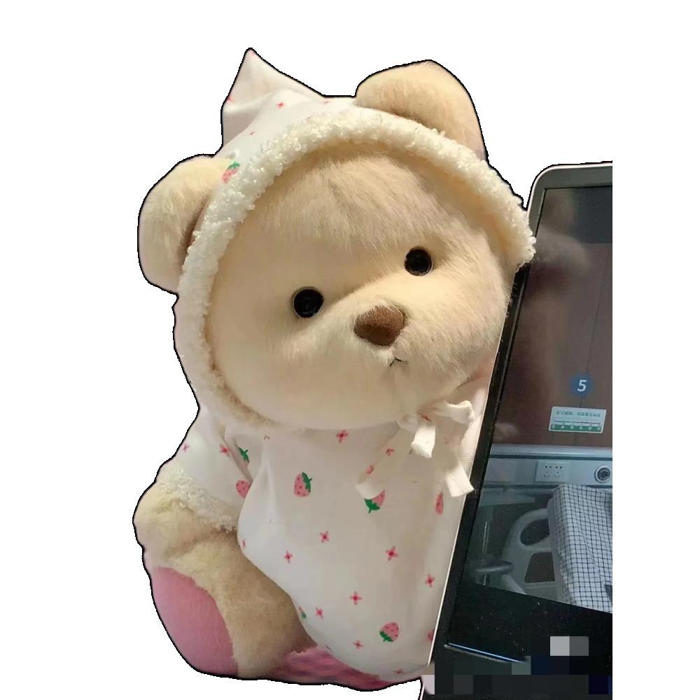 30cm Handgemachter Teddy Tale Bär Plüschtier Kleid wechseln Baby Krabbeltuch Mädchen Umarmen Kuscheliges Plüschpuppe für Freundin Geschenk cloth no bear von Joom DACH