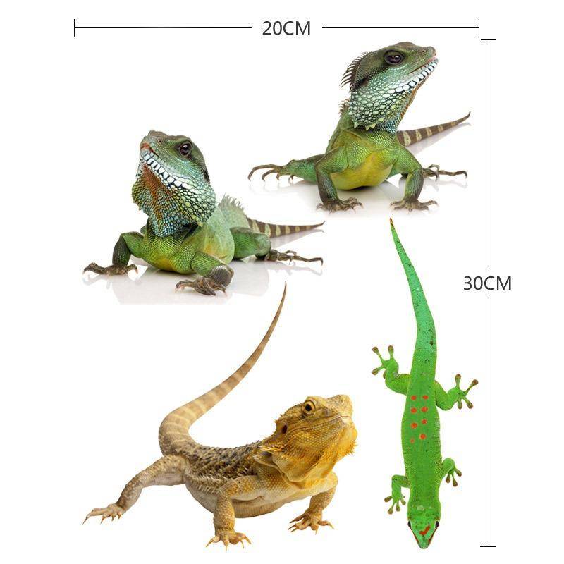 3D Tiere Auto Aufkleber PVC Schmetterling Libelle Eidechse Spinne Skorpion Auto Aufkleber 20x30cm Lizard von Joom DACH