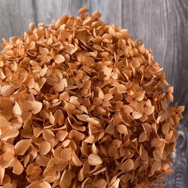 5 ~ 5,5 g/Menge, natürliche, frische, konservierte Blumen, getrocknete kleine Blätter, Hortensien-Blütenköpfe für DIY-Material aus echten Blumen für das ewige Leben von Joom DACH